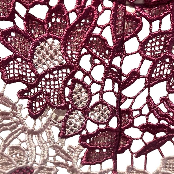 Bardot Burgundy and Beige Lace Overlay Sheath Dress Size 8 - Picture 7 of 7